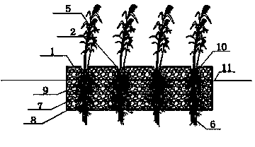 Multifunctional purified ecological floating wetland and its manufacturing method