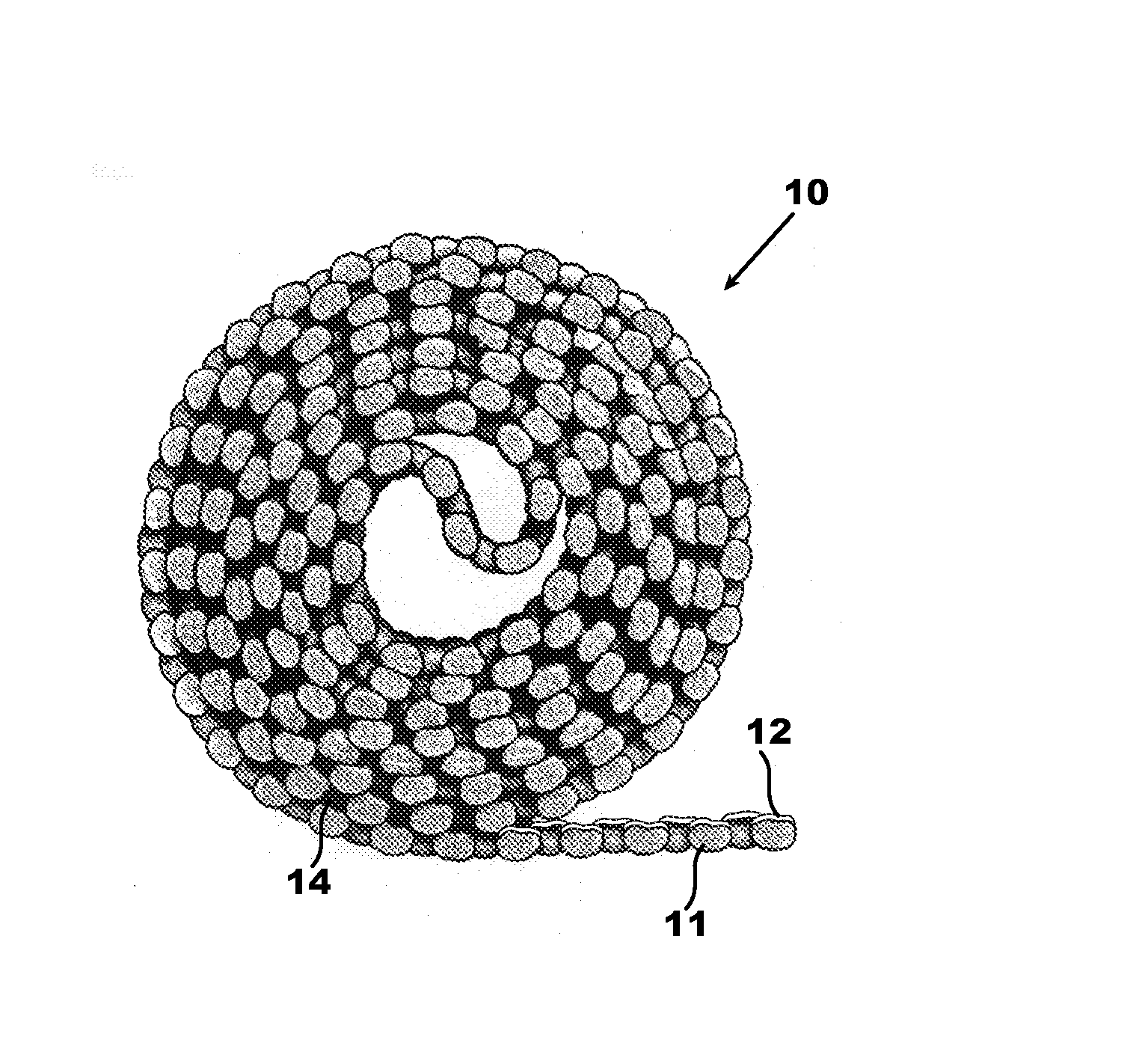 Foamed surface covering with coherent layer