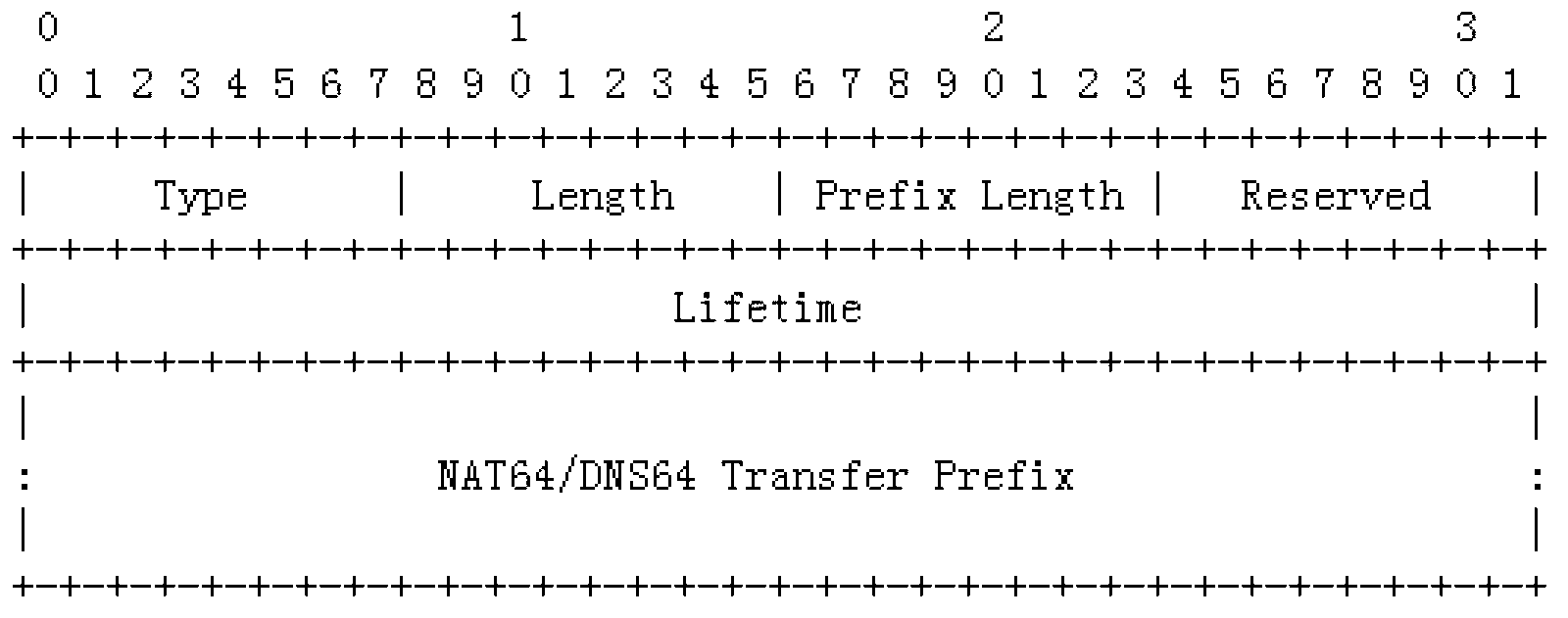 Method utilizing router advertisement carrying options to issue network address translator (NAT) 64 address prefix