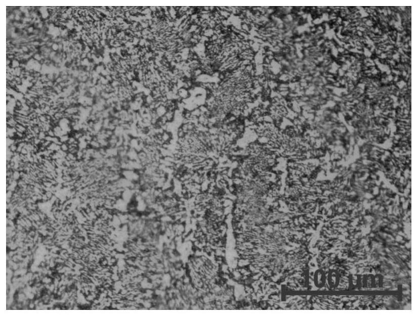 Tin-lead alloy and preparation process thereof