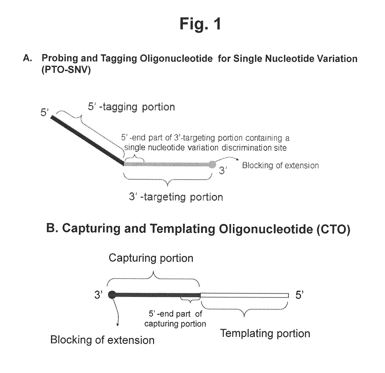 Method for determining SNP genotype