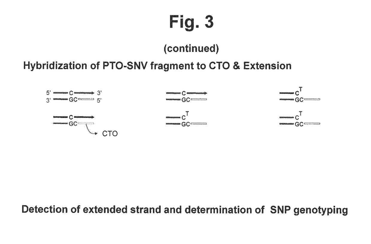 Method for determining SNP genotype