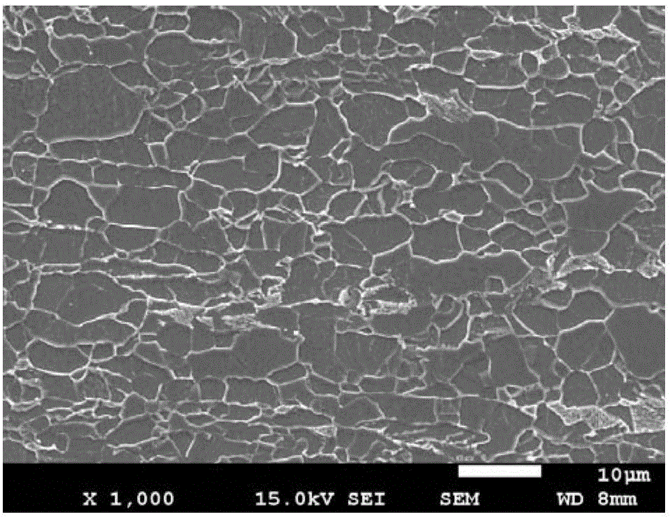 Continuous casting type large-wall-thickness hot-rolled steel plate for deep sea pipelines and production method thereof