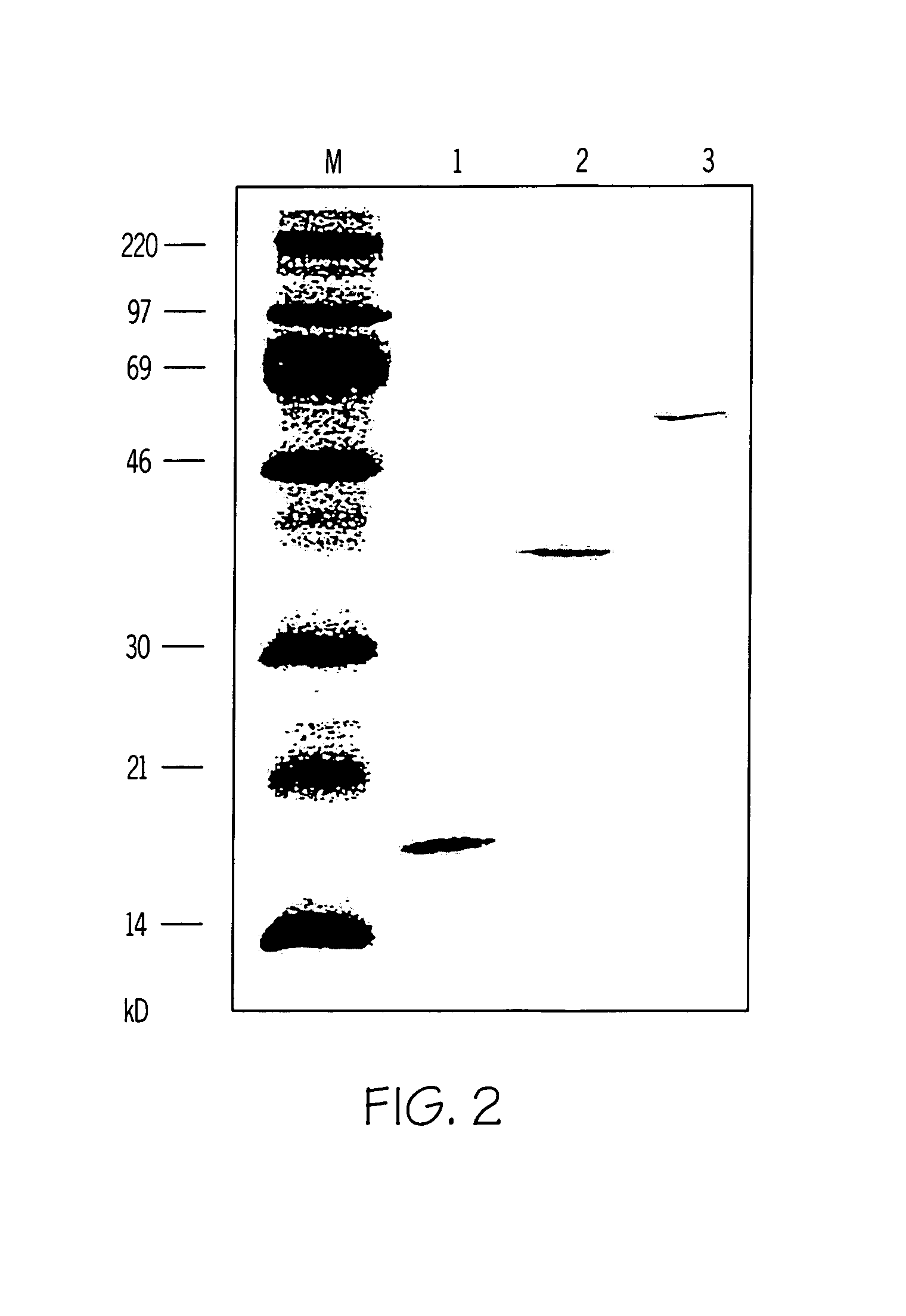 Non-anaphylactic forms of allergens and their use