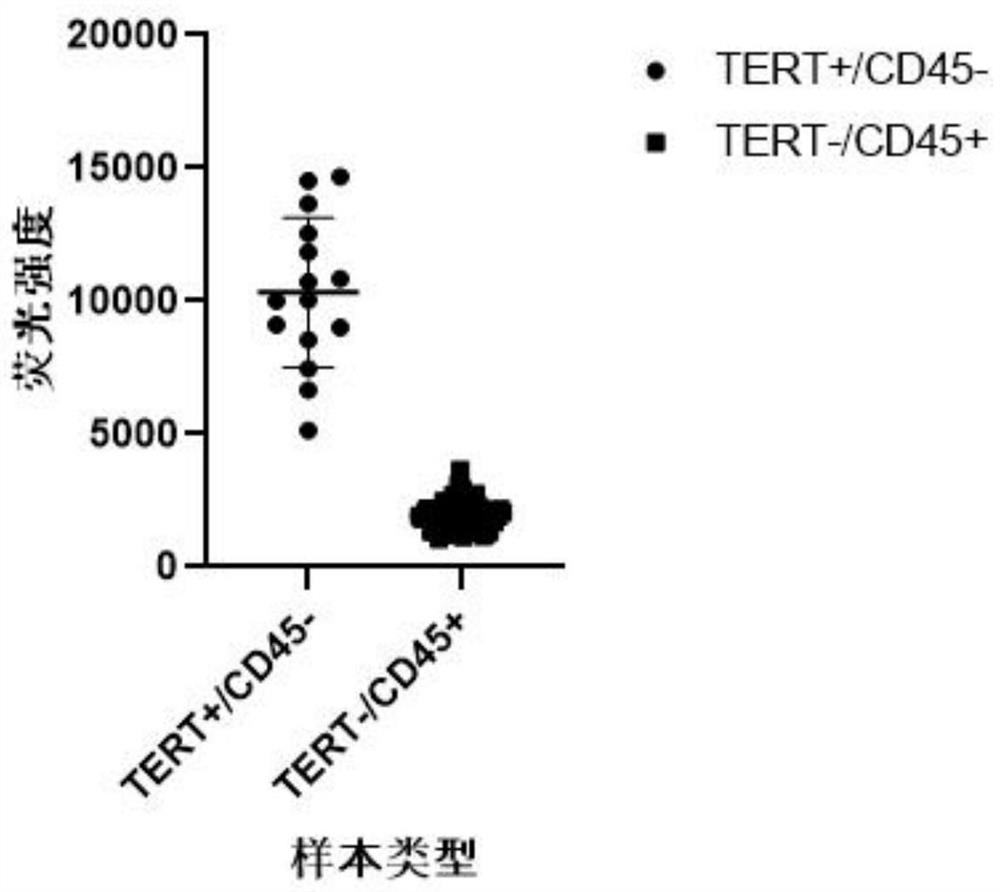 Marker combination and kit for detecting tumor cells in body fluid sample