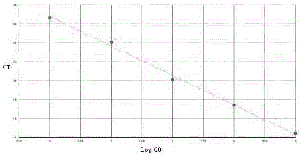 Primer, probe and kit for specifically detecting type-3 ungulata bocaviruses parvovirus