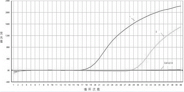 Primer, probe and kit for specifically detecting type-3 ungulata bocaviruses parvovirus