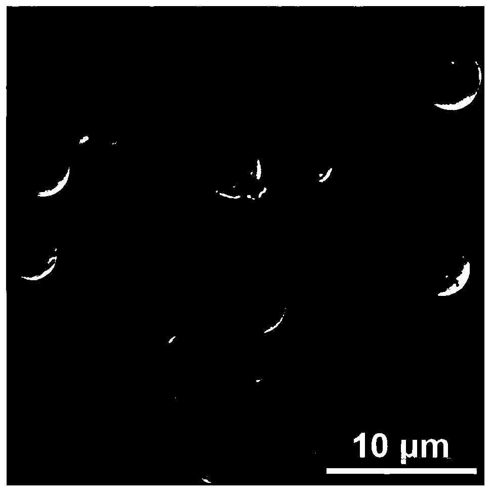 Flame-retardant and ablation-resistant filler, and preparation method and application thereof