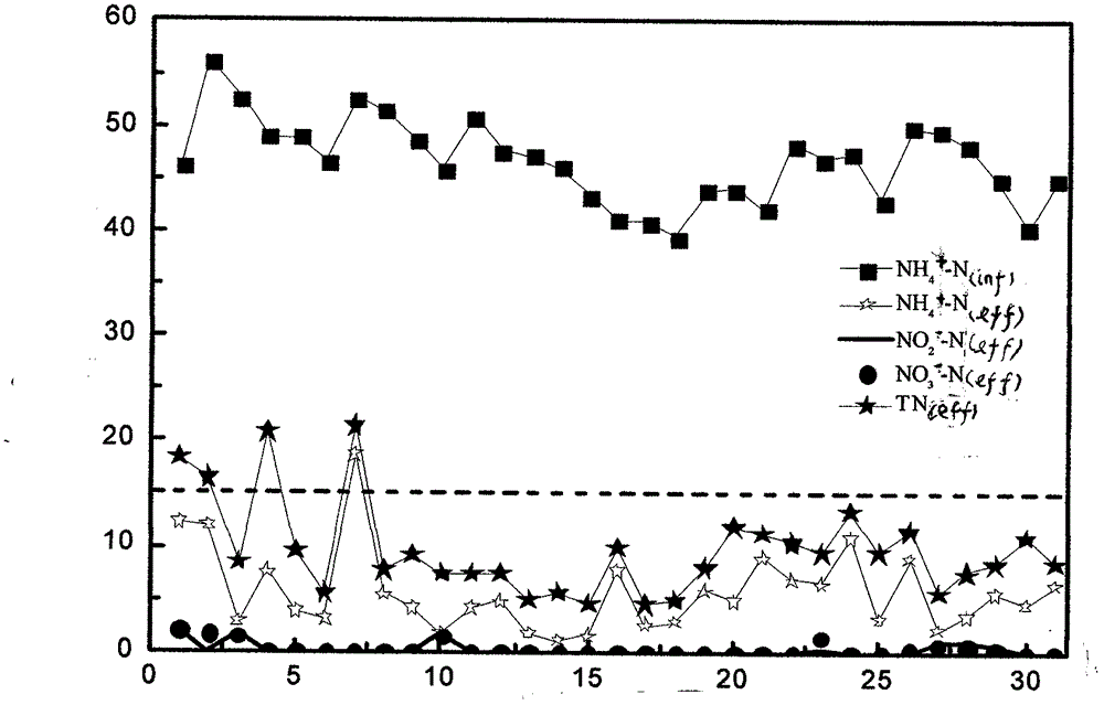 Device and method for internal carbon source denitrification coupling anaerobic ammonium oxidation treatment of urban sewage