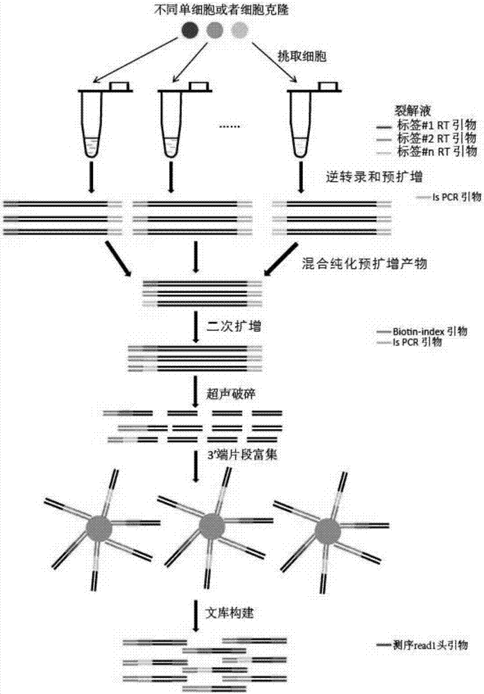 Drug target prediction and drug comprehensive evaluation method