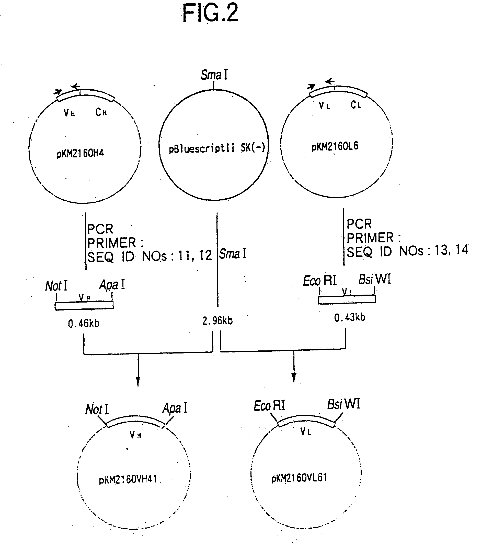 Method for treating Th2-mediated disease