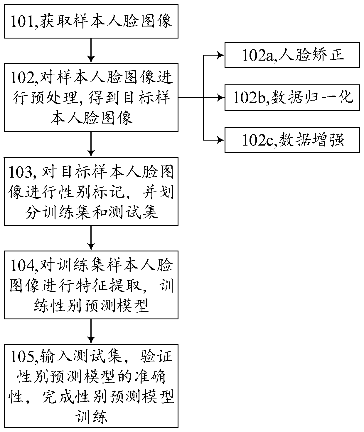 Model training method, human face gender prediction method, equipment and storage medium