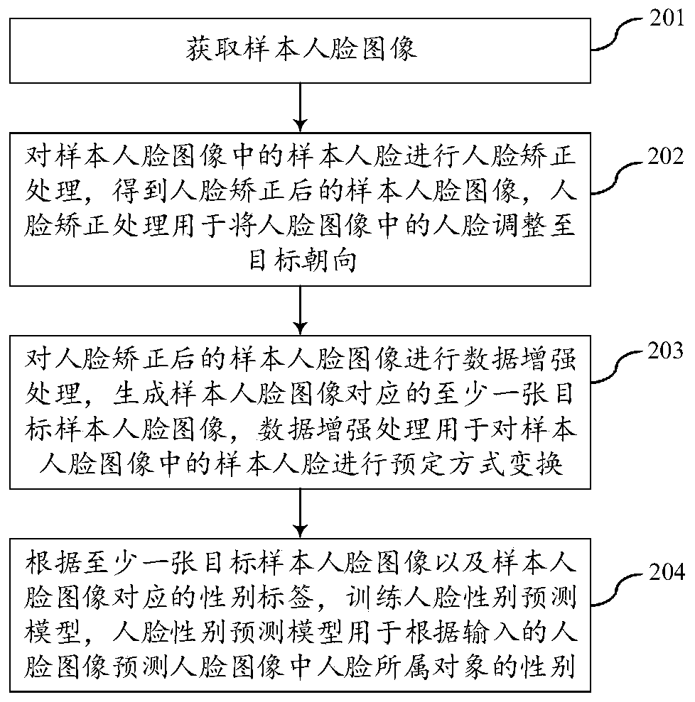 Model training method, human face gender prediction method, equipment and storage medium