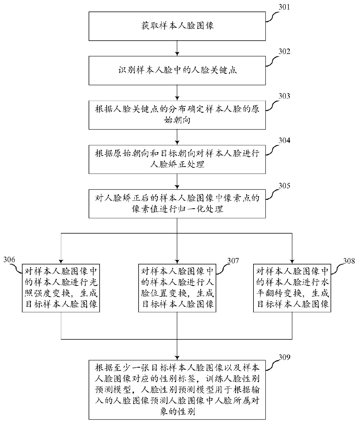 Model training method, human face gender prediction method, equipment and storage medium