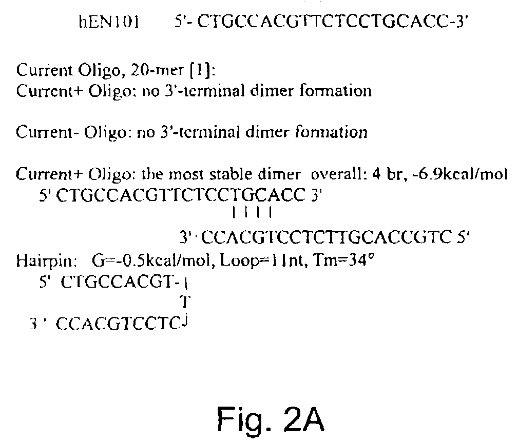 Antisense oligonucleotide against human acetylcholinesterase (AChE) and uses thereof