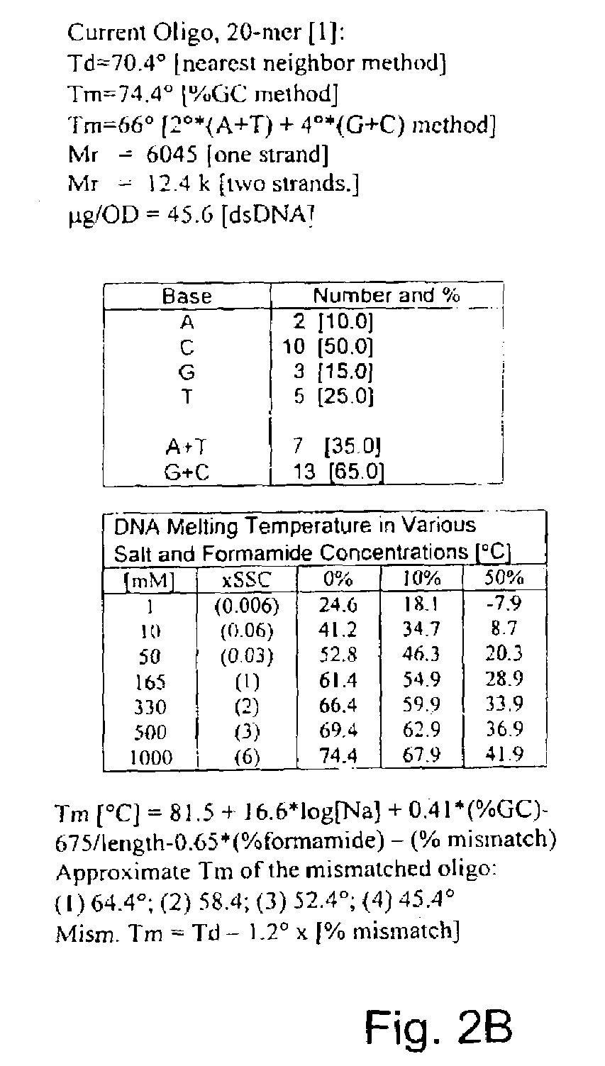 Antisense oligonucleotide against human acetylcholinesterase (AChE) and uses thereof