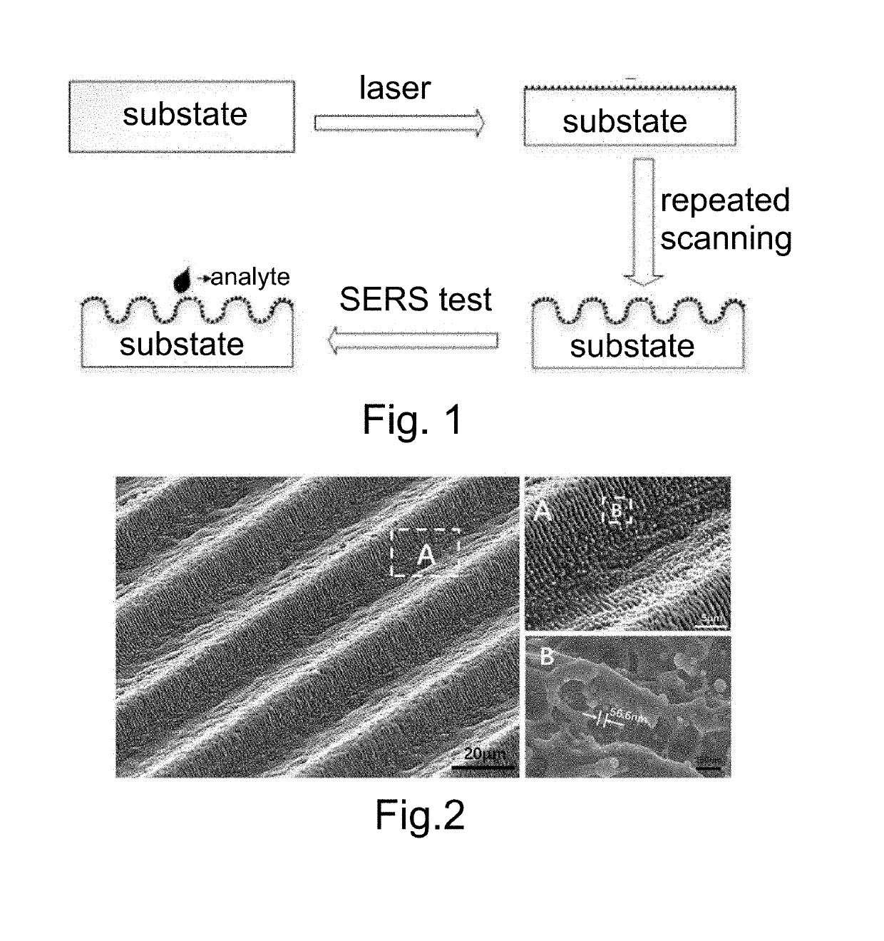 Fabrication of Fluorescence-Raman Dual Enhanced Modal Biometal Substrate