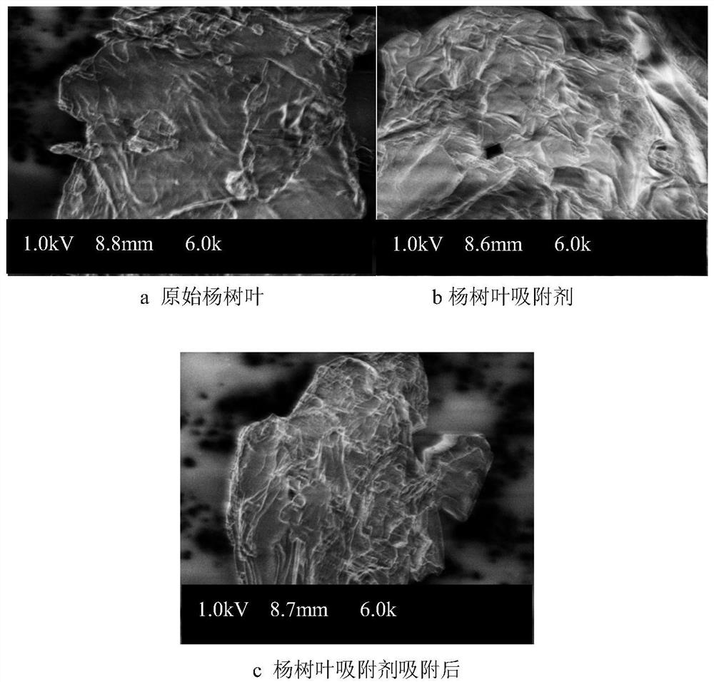 Preparation method of biosorbent for treating basic fuchsin in printing and dyeing wastewater