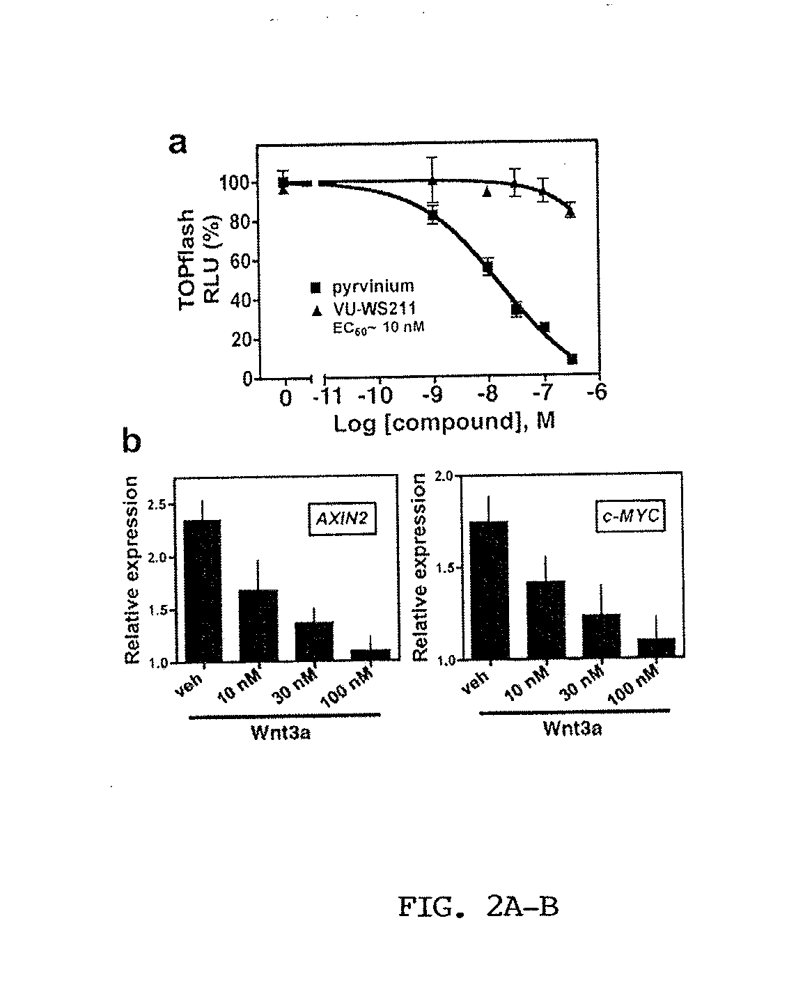 Antibodies That Inhibit WNT Signaling And Methods Of Using The Same