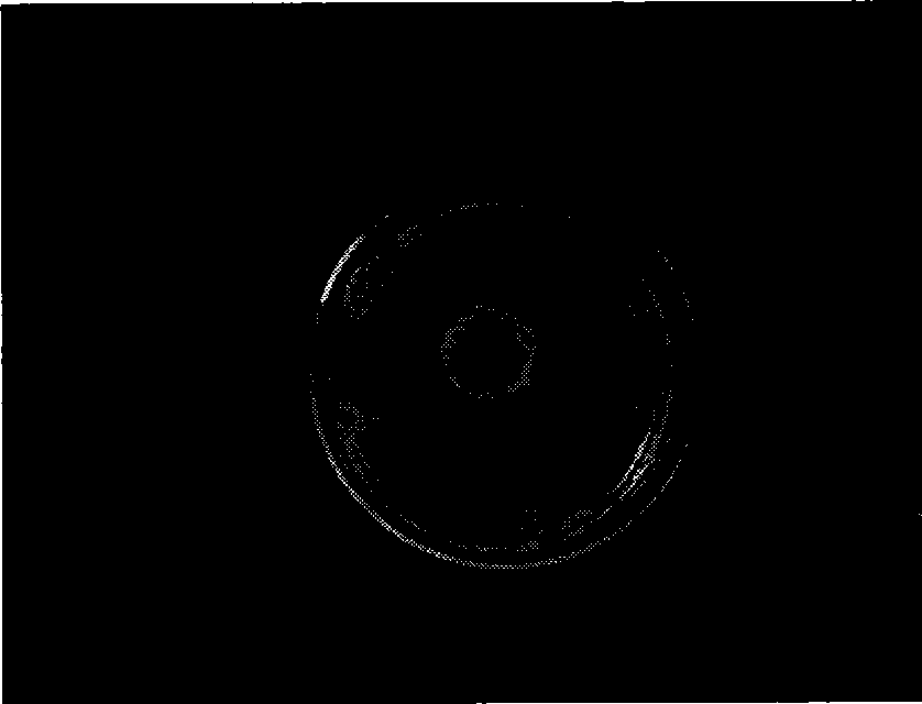 Compositional bactericidal agent for preventing and treating gray mold