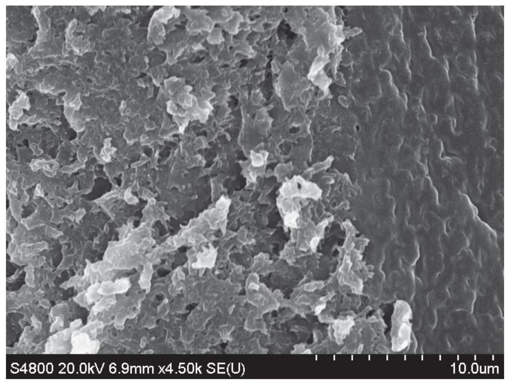 Quasi-carboxymethyl chitosan and new one-step synthesis process