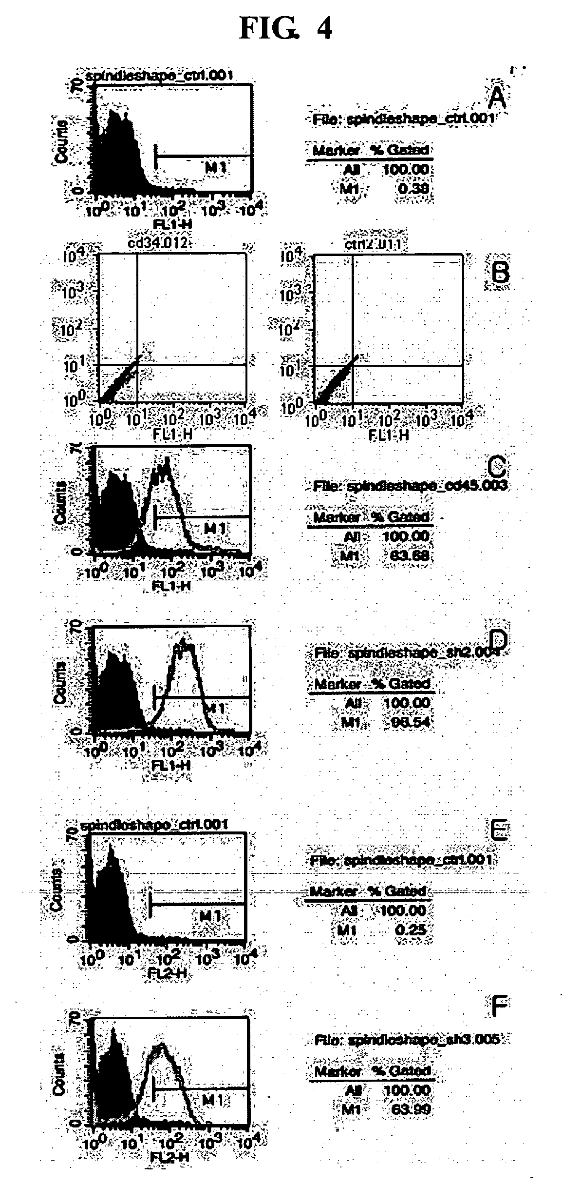 Multipotent stem cells isolated from umbilical cord blood and the cellular therapeutic agent comprising the same for treating ischemic disease