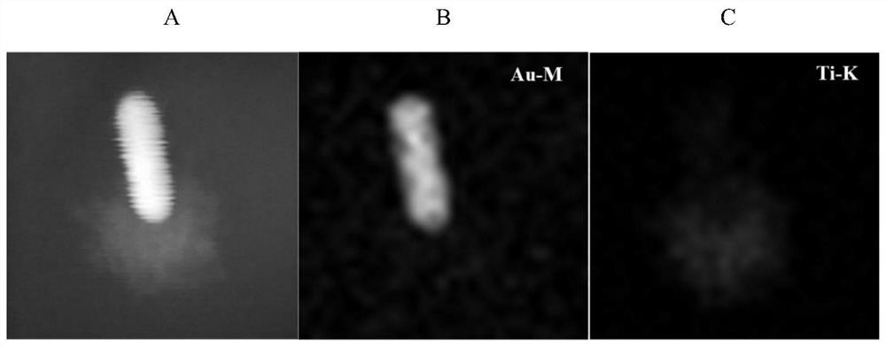 Titanium dioxide-gold nanorod asymmetric nano composite material as well as preparation method and application thereof