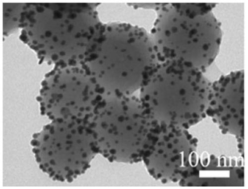 A kind of bayberry-like polydopamine core-gold-shell nanocomposite material and preparation method thereof