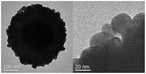 A kind of bayberry-like polydopamine core-gold-shell nanocomposite material and preparation method thereof