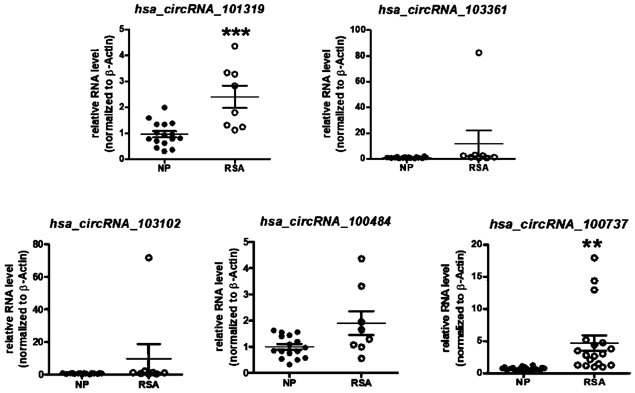 Recurrent spontaneous abortion biomarker and applications thereof