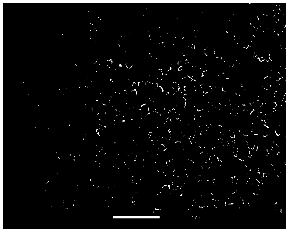 Anode material of high-magnification aqueous alkali metal electrochemical battery and preparation method of anode material