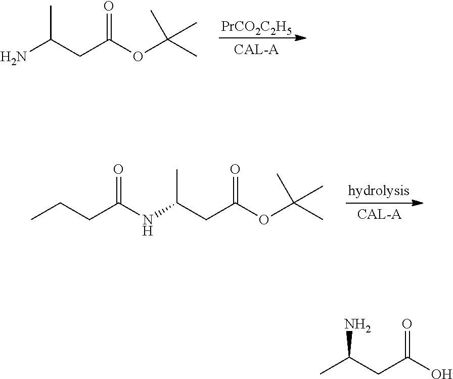 Method for enzymatic preparation of r-3 aminobutyric acid