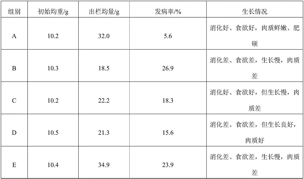 Feed for young snails and preparation method of feed