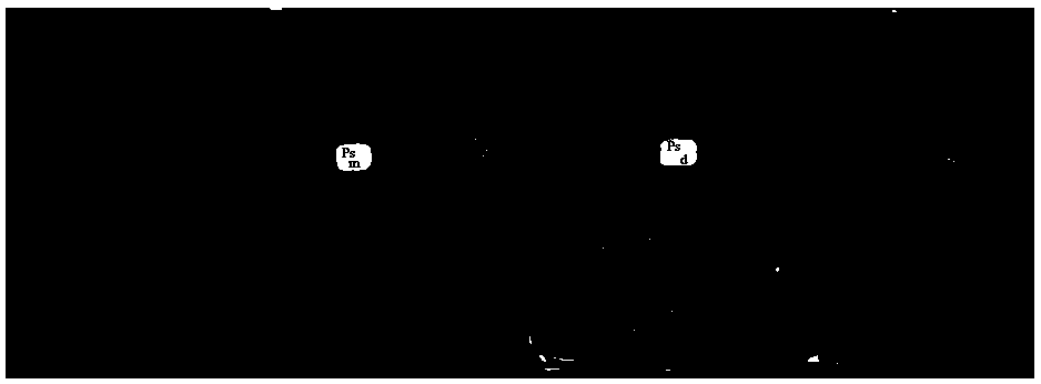 Method for increasing germinating rate of longan seeds under condition of short-time room temperature storage