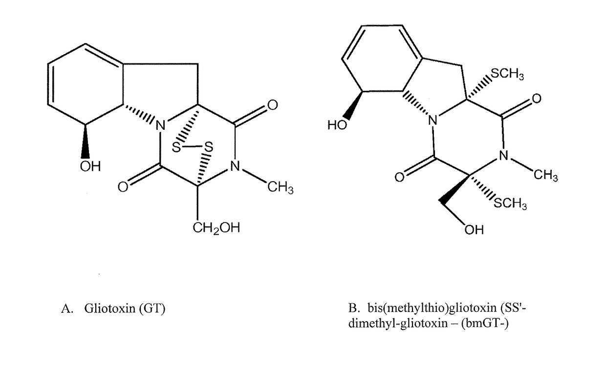 Methods and compositions for detecting mycotoxins