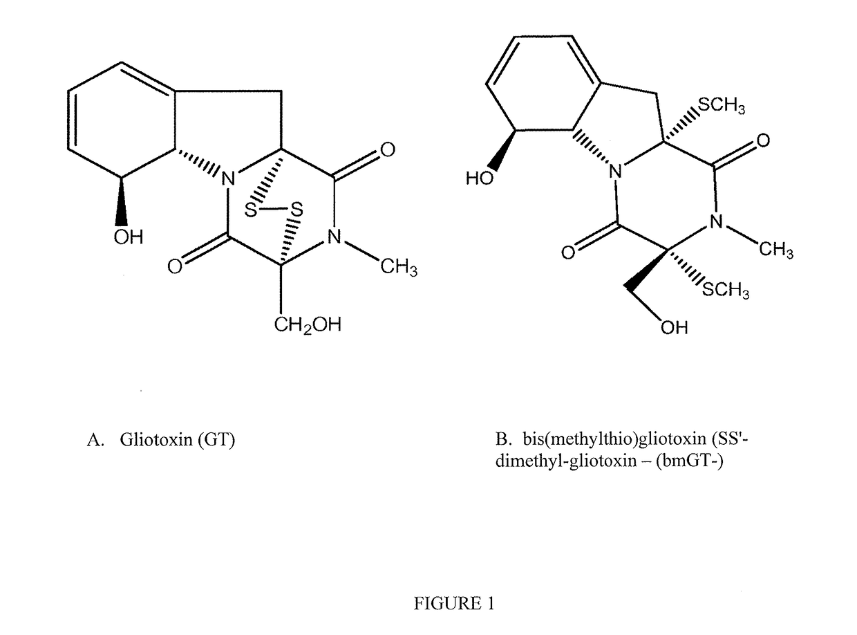 Methods and compositions for detecting mycotoxins