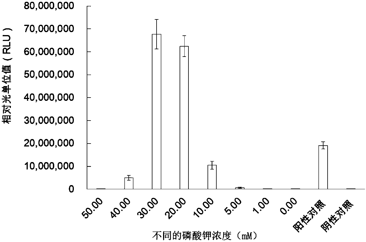 New-type efficient biological energy regeneration system (BES) for in-vitro biological reaction system, kit and preparation method