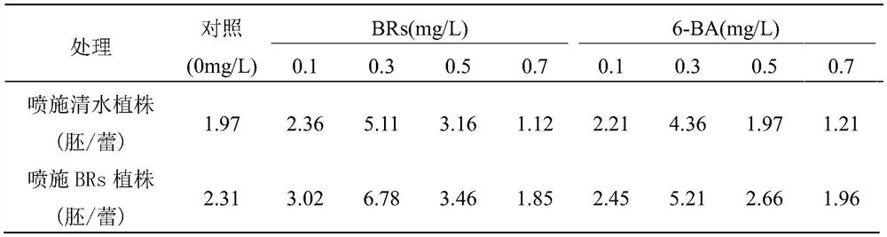 Method for increasing embryogenesis rate of microspores of Wucai