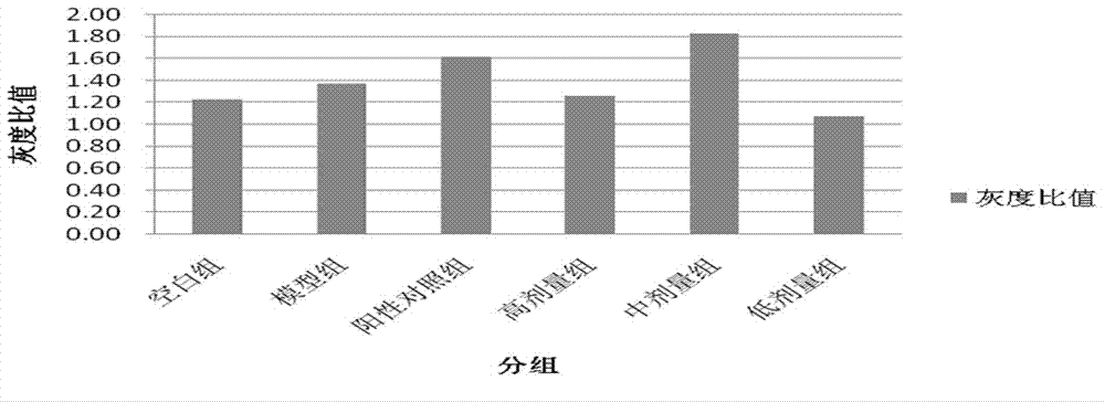 Medicine composition, and preparation method, preparation and application thereof