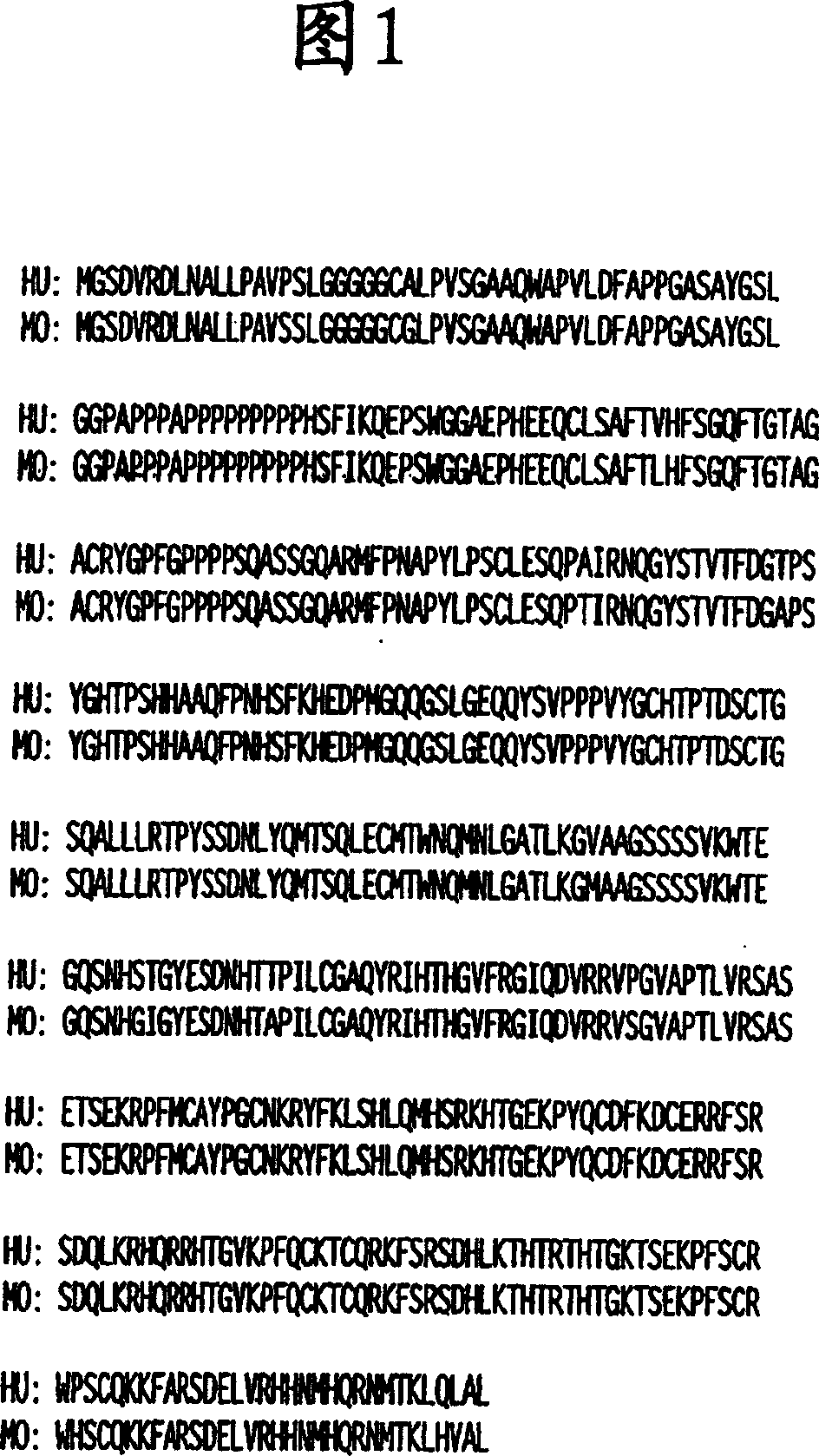 Compositions and methods for wt1 specific immunotherapy