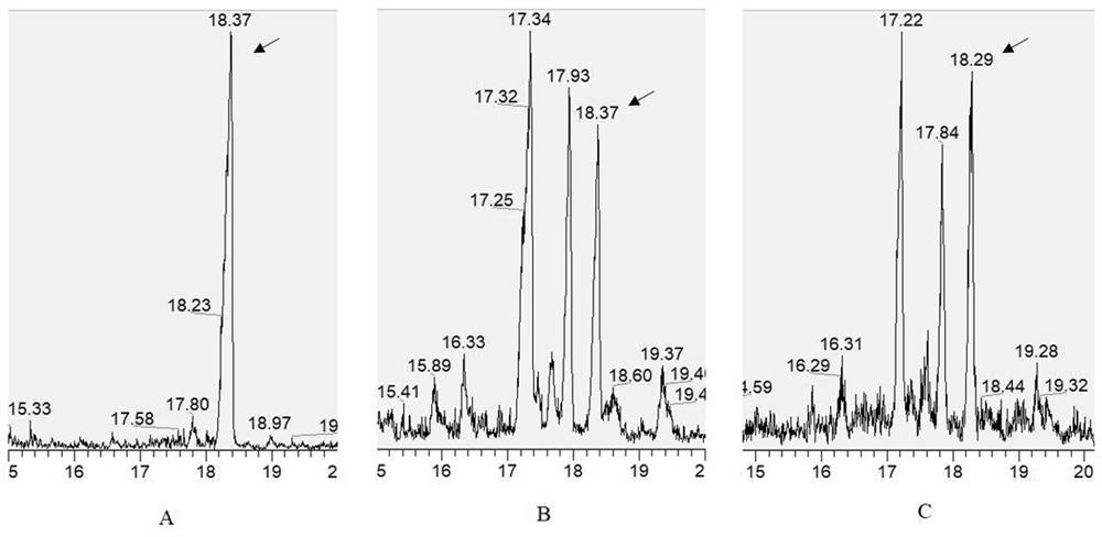 Preparation method for extracting lupeol-containing herbal medicine component from indigofera pseudotinctoria