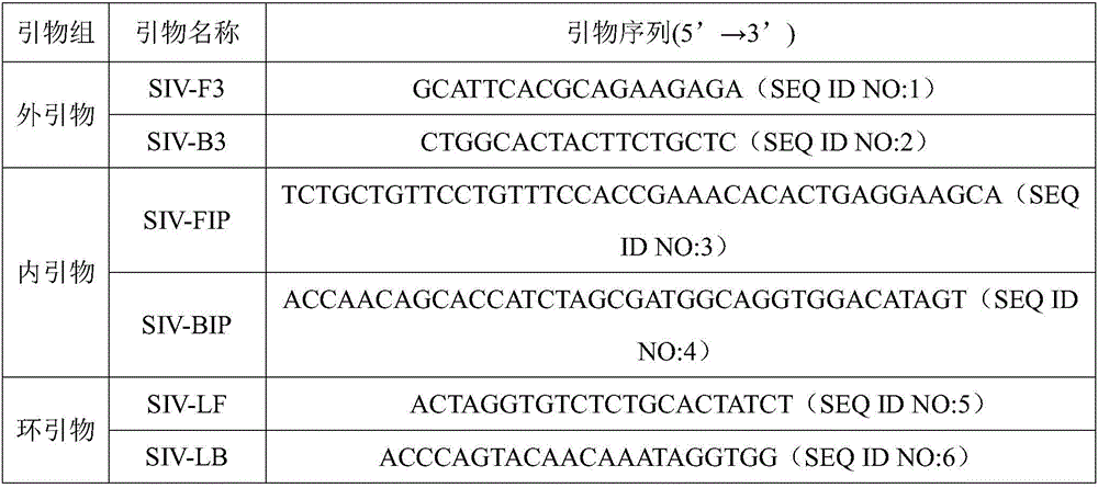 RT-LAMP (reverse transcription and loop-mediated isothermal amplification) detection primer group, RT-LAMP detection kit and RT-LAMP detection method for simian immunodeficiency virus