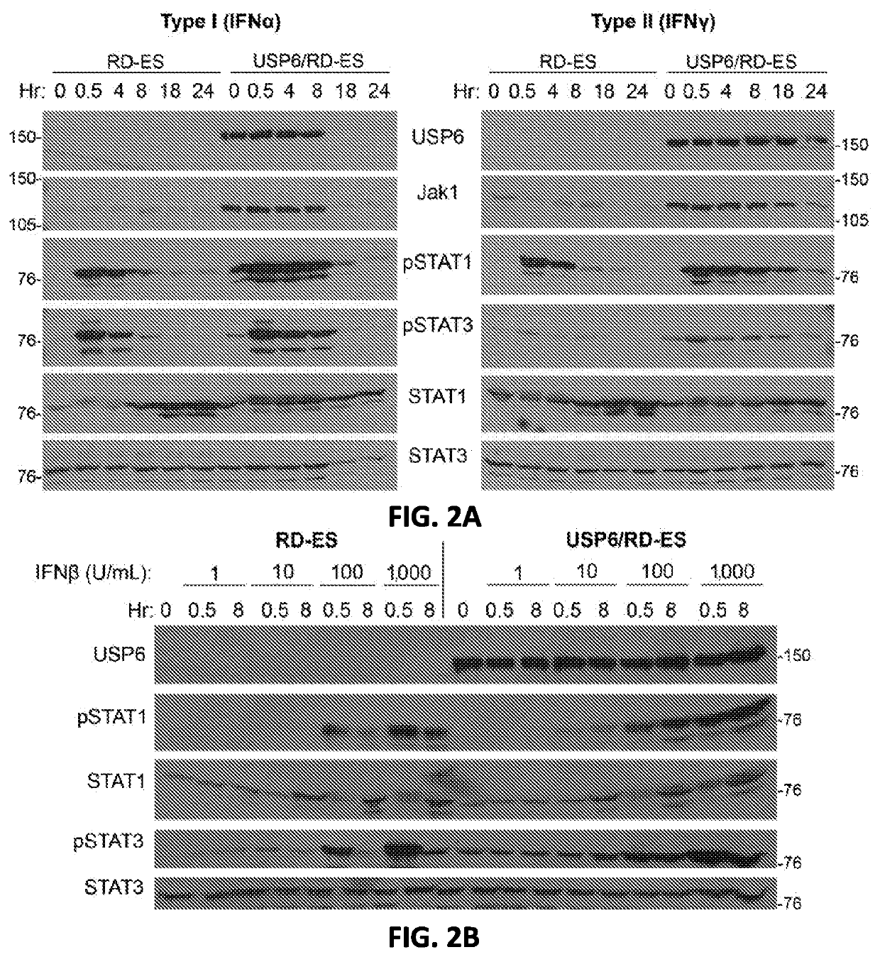 Compositions and methods for treating cancer