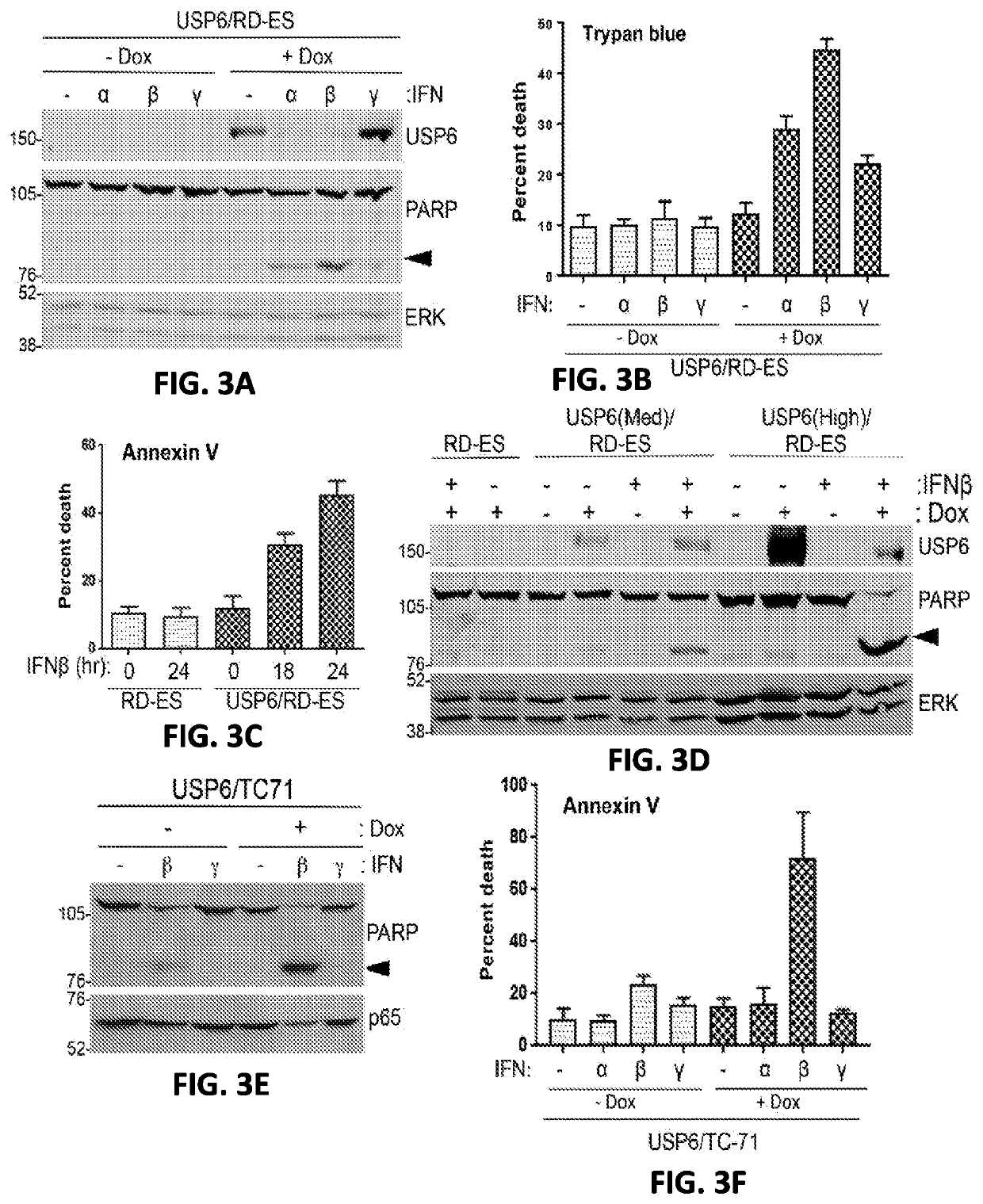 Compositions and methods for treating cancer