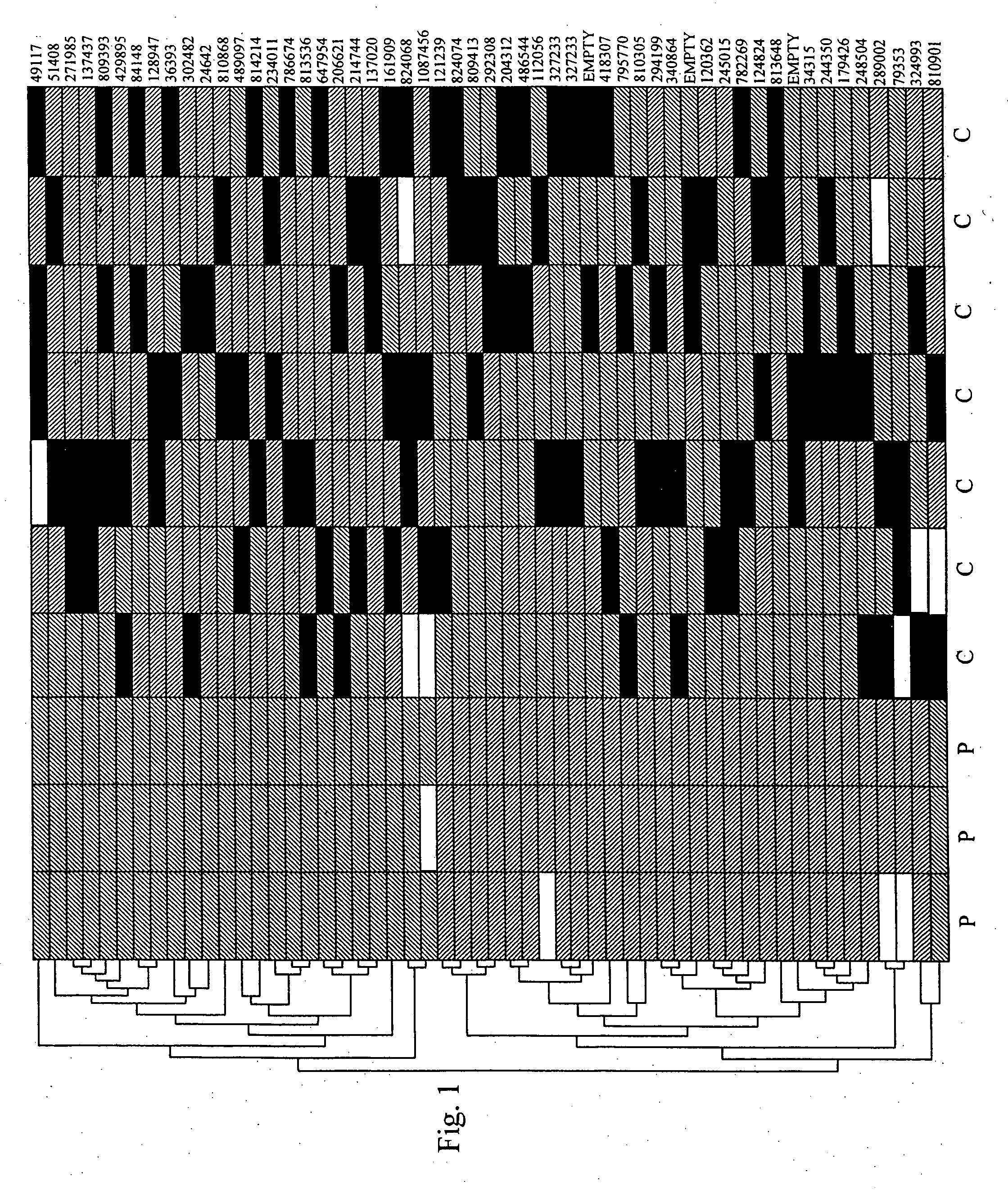 Method for the early detection of breast cancer, lung cancer, pancreatic cancer and colon polyps, growths and cancers as well as other gastrointestinal disease conditions and the preoperative and postoperative monitoring of transplanted organs from the donor and in the recipient and their associated conditions related and unrelated to the organ transplantation