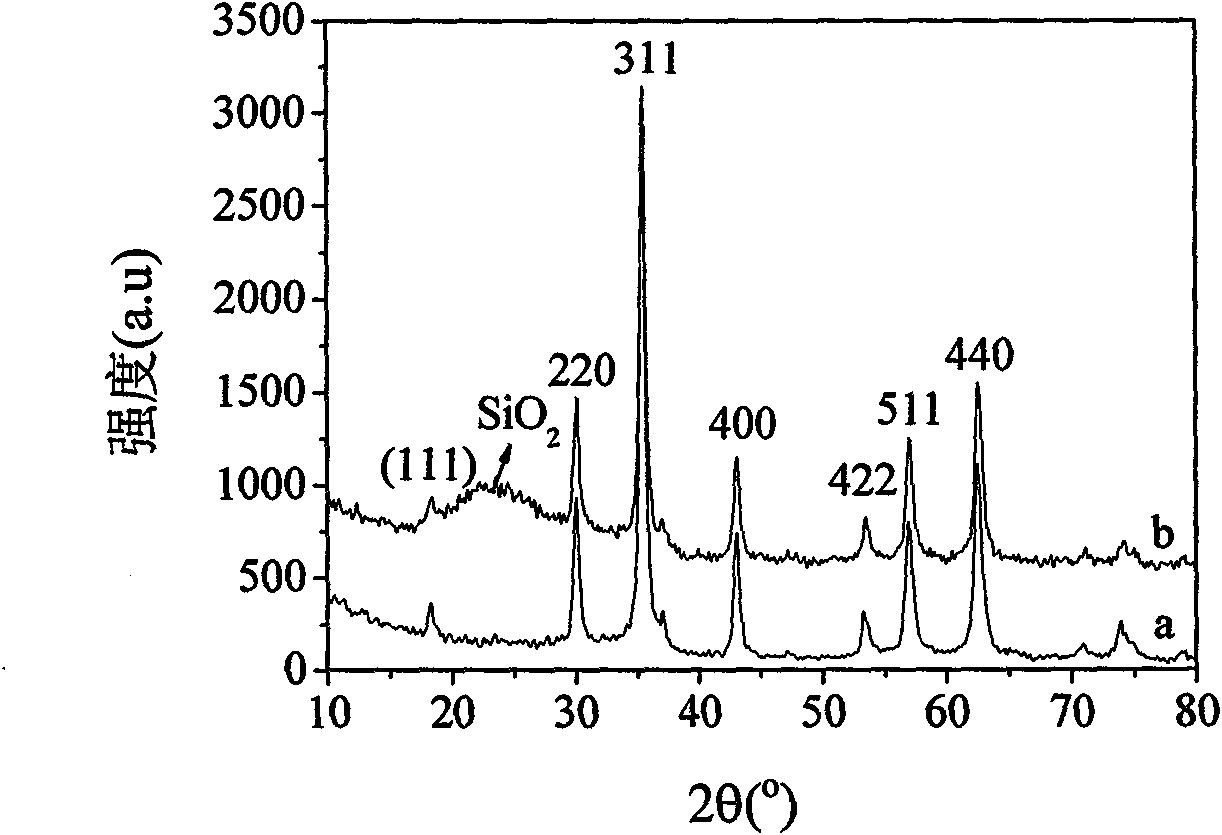 Magnetic/functionalized SiO2 composite microsphere immobilized enzyme and preparation method thereof