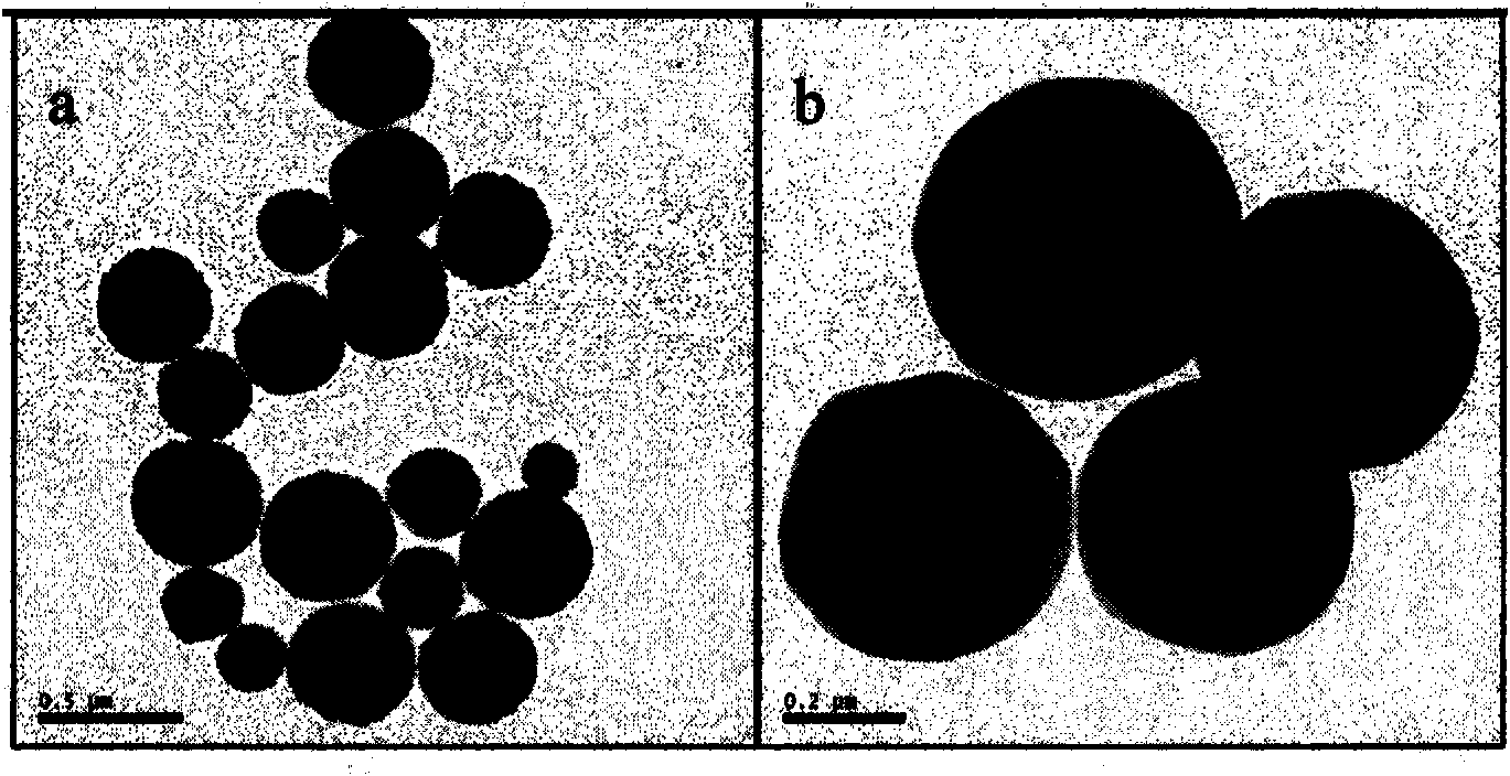 Magnetic/functionalized SiO2 composite microsphere immobilized enzyme and preparation method thereof