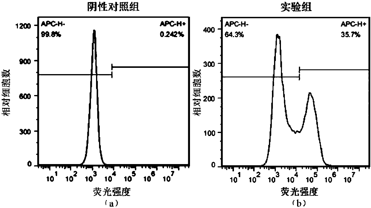 PD1-knockout chimeric antigen receptor T cell targeting DR5, preparation method and application thereof