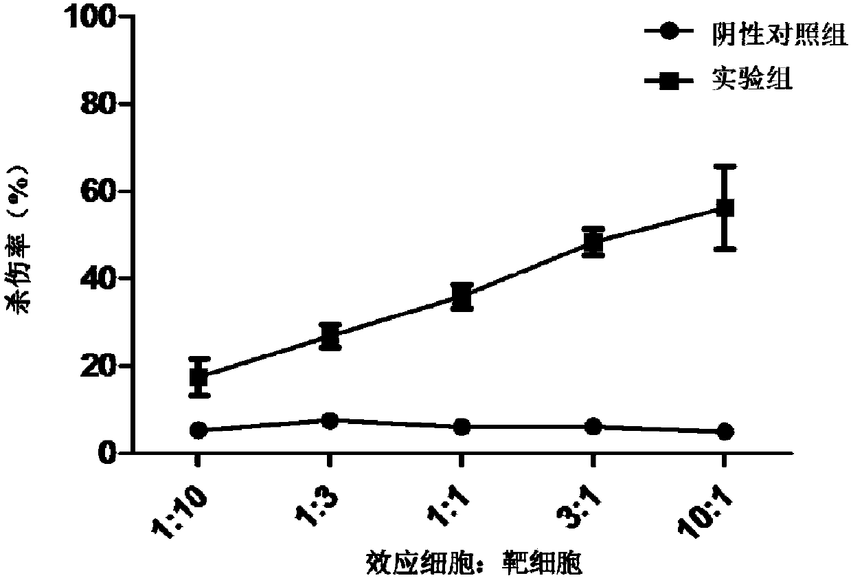 PD1-knockout chimeric antigen receptor T cell targeting DR5, preparation method and application thereof