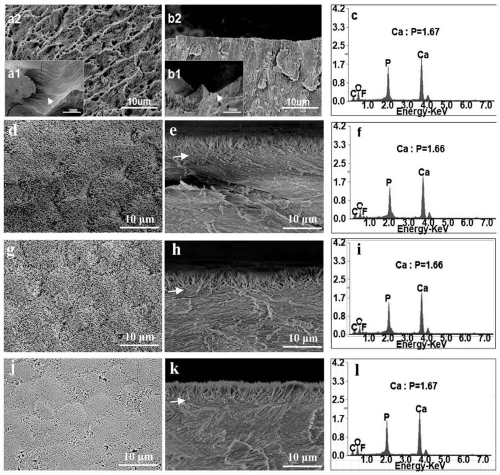 Pit and fissure sealing agent for permeating and sealing tooth occlusal surface pits and fissures and application of pit and fissure sealing agent